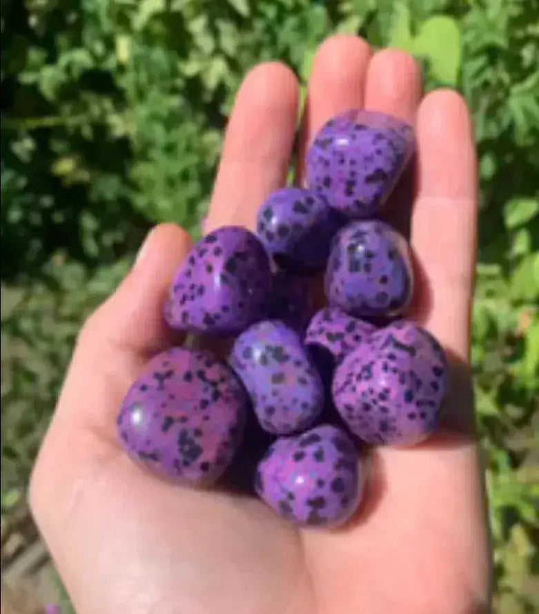 Natural Purple Dalmation Jasper tumbler - CosmicBlueprint7