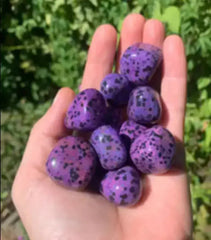 Natural Purple Dalmation Jasper tumbler - CosmicBlueprint7