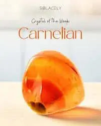 Carnelian Powerful stone β€οΈβπ₯π±β‘οΈ - CosmicBlueprint7