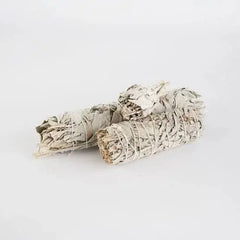 4cm White sage (smudge stick) - CosmicBlueprint7
