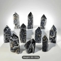 Black Tourmaline in Quartz Crystal Point - Protection & Grounding (50-100g) - CosmicBlueprint7